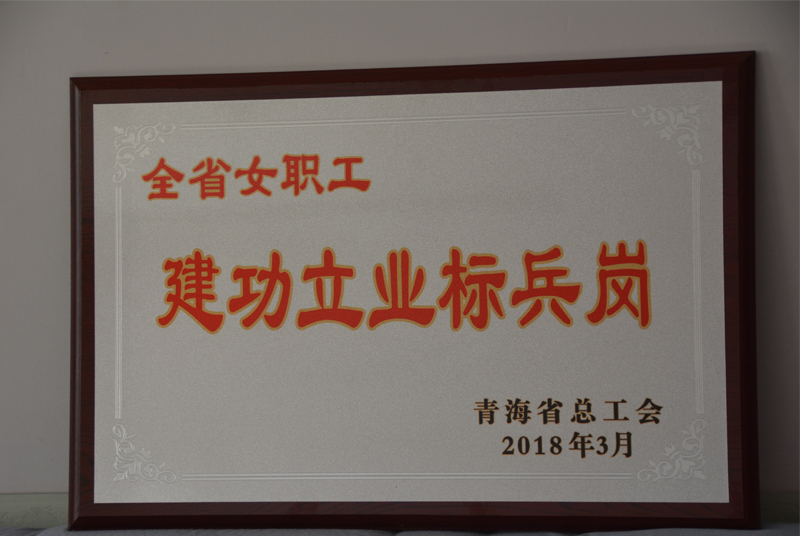 小容量注射剂车间洗烘灌封联动线班组荣获“全省女职工建功立业标兵”荣誉称号。